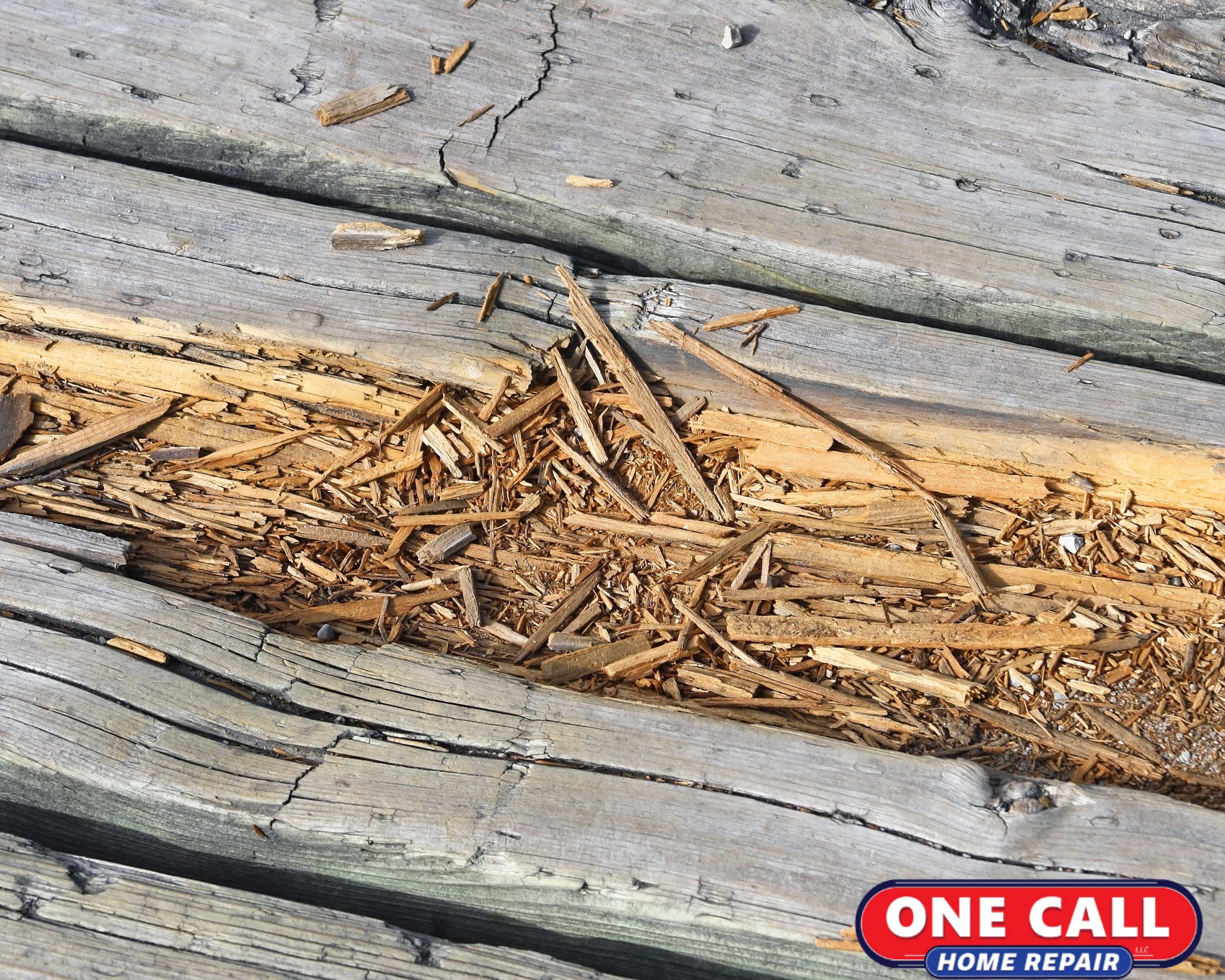 How to Replace Deck Planks After Wood Rot Wreaks Havoc