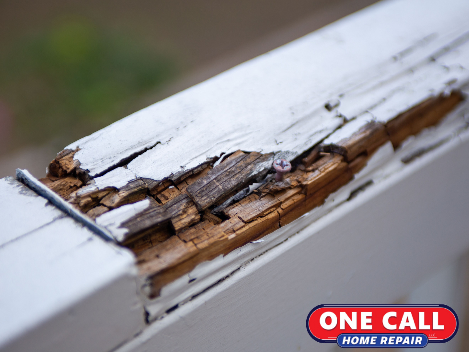 Safeguarding Homes: The Importance of Wood Rot Repair in Lake Stevens
